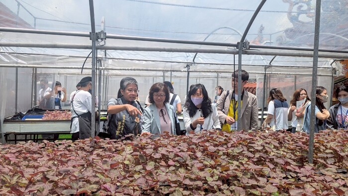 1140606 新北社會局參訪千歲咖啡見證高齡友善共創成果圖片